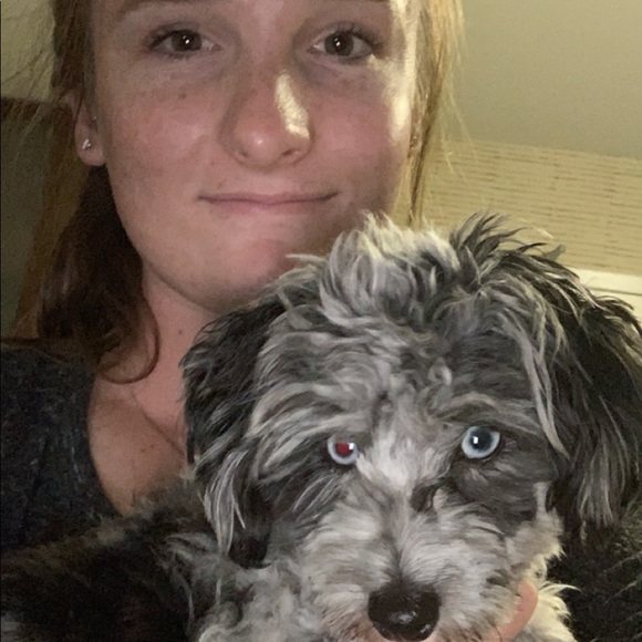 Meet your Posher, Natalie - Picture 8 of 13